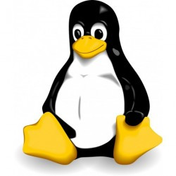 Serveur d'Application pour Linux - Mise à jour version 28 vers 2025