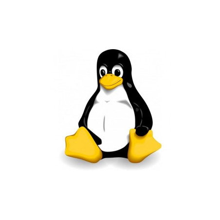 Serveur d'Application pour Linux - Mise à jour version 28 vers 2025