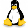 Serveur d'Application pour Linux - Mise à jour version 27 vers 2024