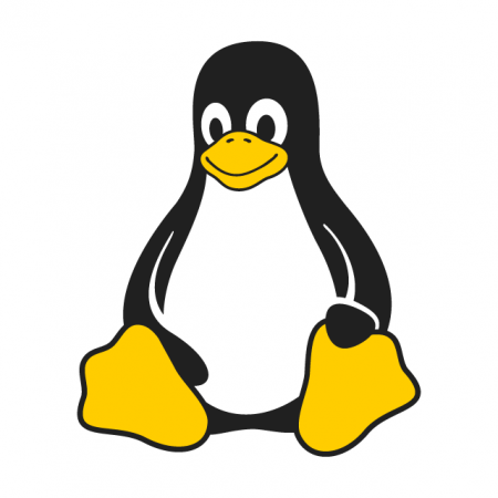 Serveur d'application WEBDEV pour Linux